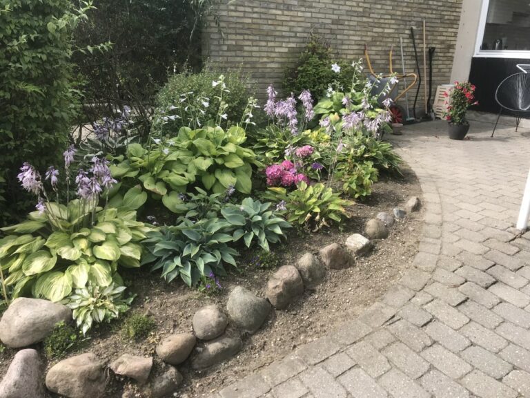 Staudebed, velholdt, omgivet af en kant af runde sten. Foran en flisebelagt gang.