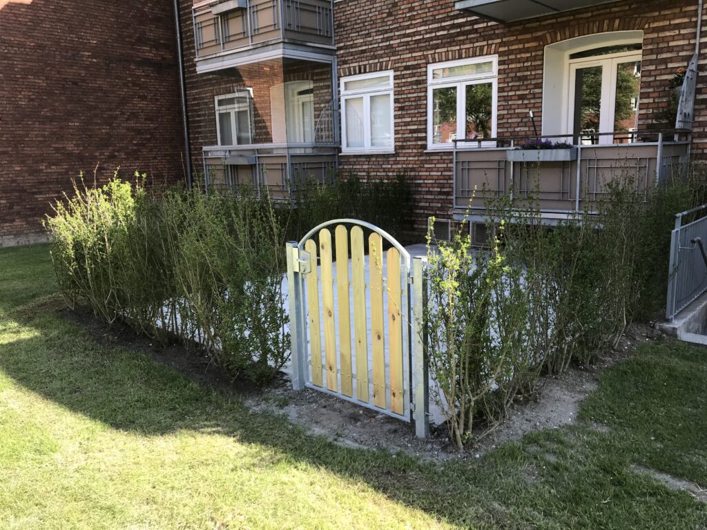 Lille have med lav hæk om. Lige for en ny havelåge i træ med galvaniseret jern om. Der er flisebelægning bag lågen.
