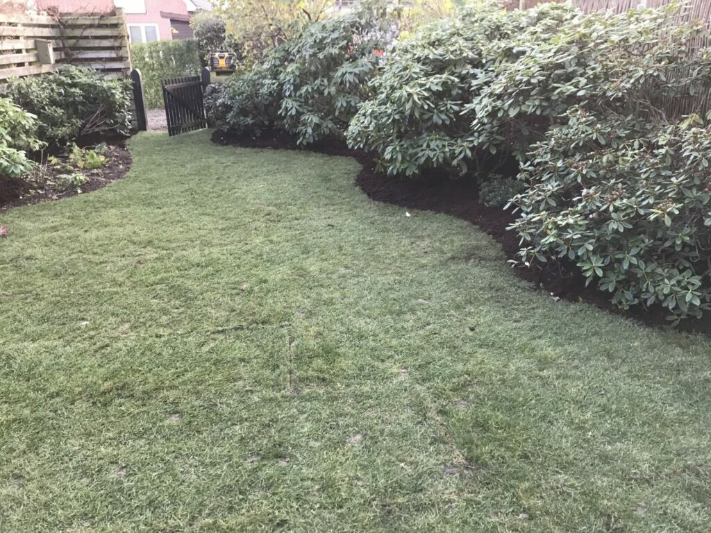 Rullegraes 11 Scaled