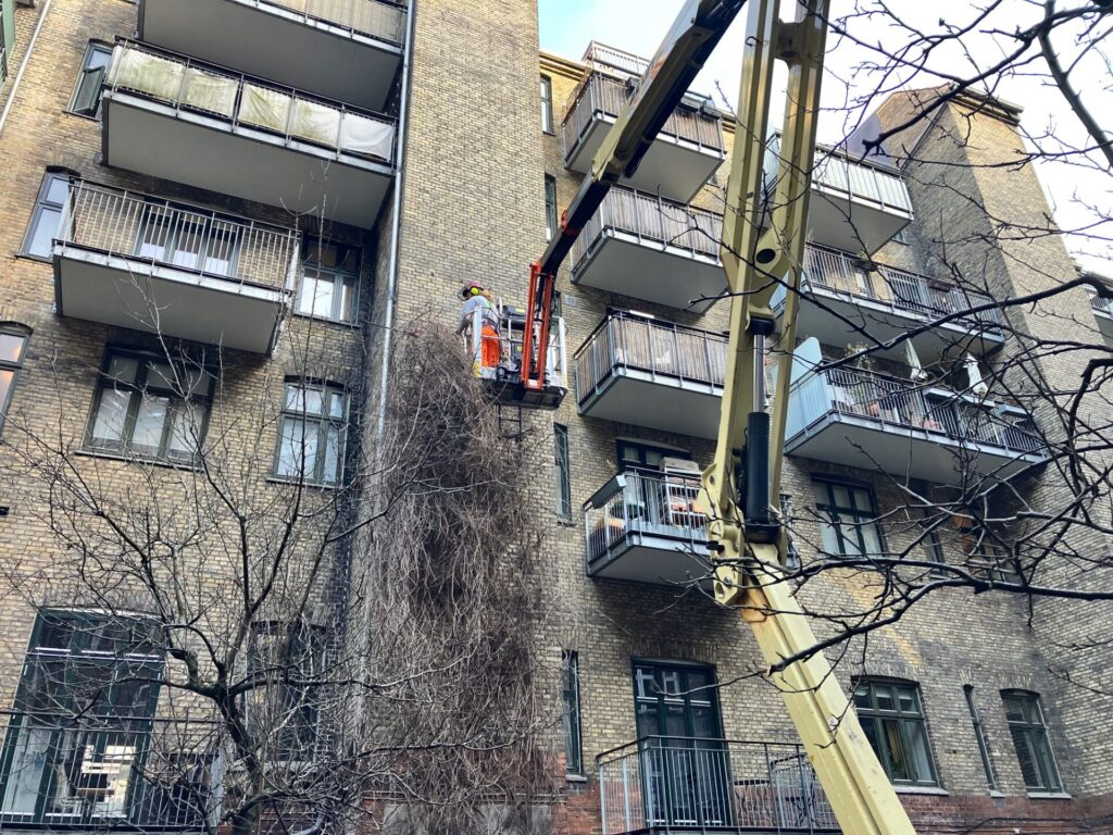 2025 10 traefaeldning IMG